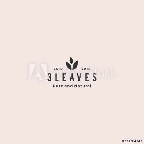 500x500 Three Leaves Leaf Logo Vector Icon Design Inspiration