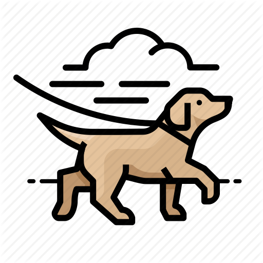 512x512 Dog, Dogs, Labrador Retriever, Pet, Puppy Icon