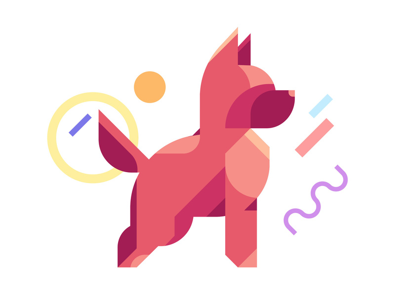 800x600 Dog Training School Icon