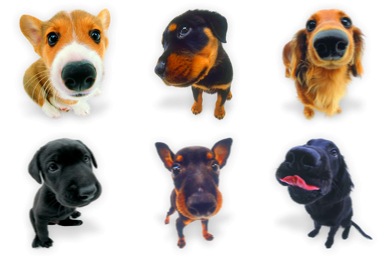 390x260 Dogs N Puppies Iconset