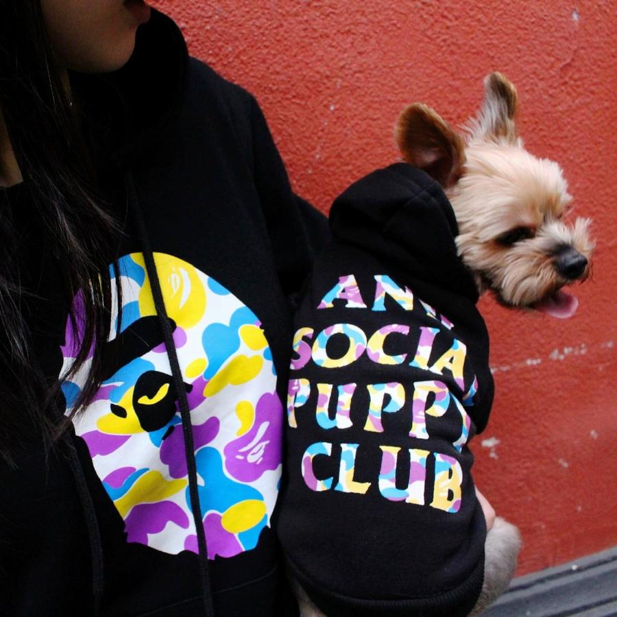900x900 Icon Dogwear Streetwear For Dogs Hypebeast Dog Clothes