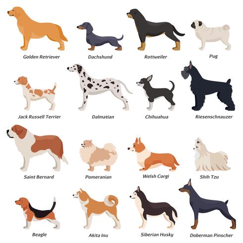490x490 Profile Dogs Icon Set