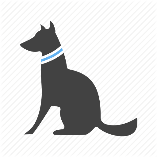 512x512 Cat, Cats, Dog, Dogs, Pet, Pets, Young Icon