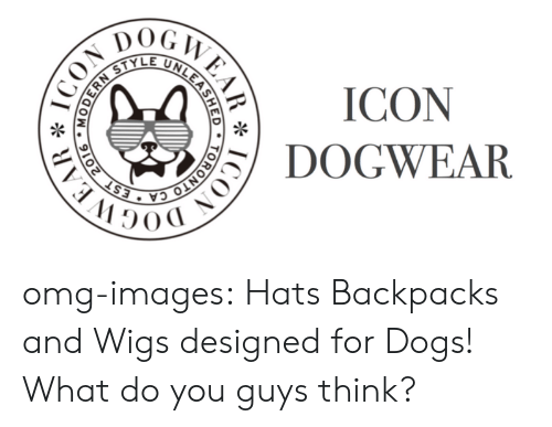500x387 Dog Icon Dogwear Omg Images Hats Backpacks And Wigs Designed