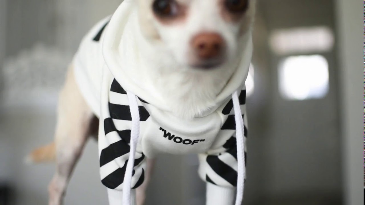 1280x720 Icon Dogwear Woof Hoodie