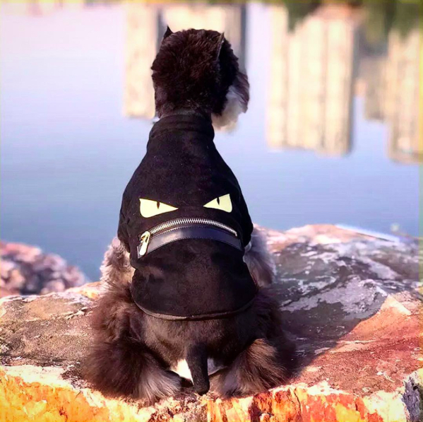 599x597 Icon Dogwear Pets