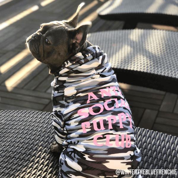 600x600 Anti Social Puppy Club Dog Hoodie Anti Social Social Pup