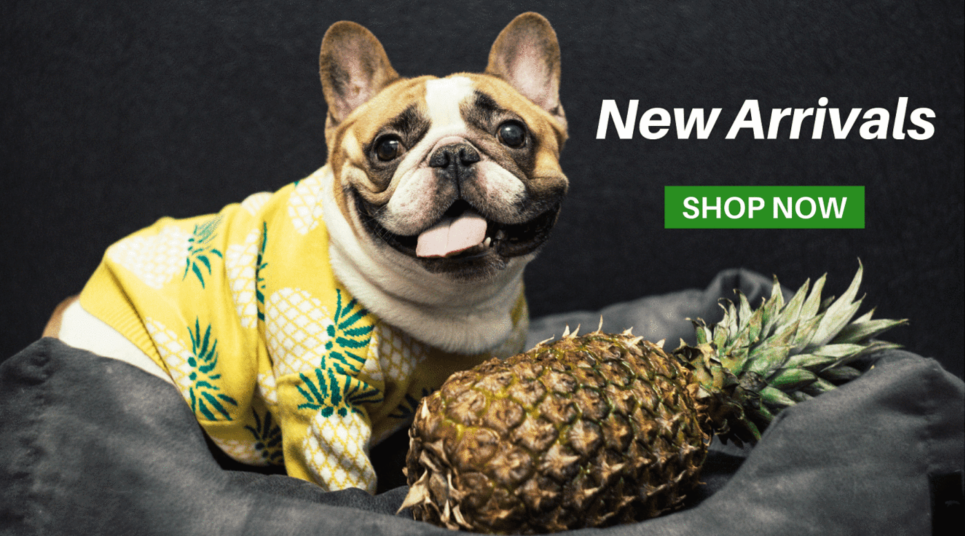 1399x778 Cute Dog Outfits Uk