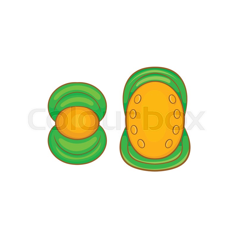 800x800 Knee Protector And Elbow Pad Icon, Stock Vector Colourbox