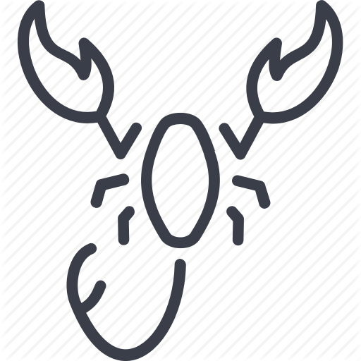 512x512 Etymology, Insects, Mosquito, Pest, Scorpion, Summer Icon