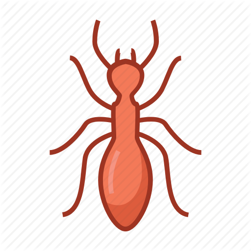 512x512 Ant, Bug, Bugs, Etymology, Insect, Insecticide, Sting Icon