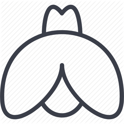 512x512 Aphis, Etymology, Insects, Mosquito, Pest, Summer Icon