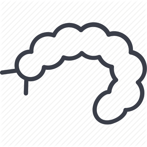 512x512 Caterpillar, Etymology, Insects, Mosquito, Pest, Summer Icon