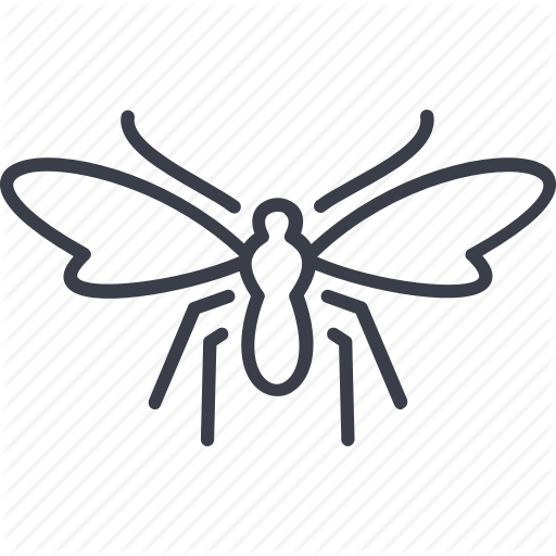 512x512 Etymology, Insects, Midge, Mosquito, Pest, Summer Icon