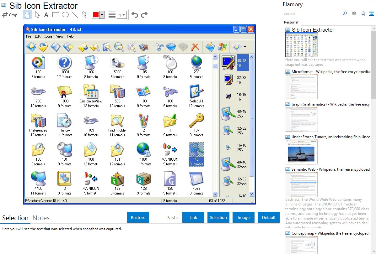 1198x811 Sib Icon Extractor Integration With Flamory
