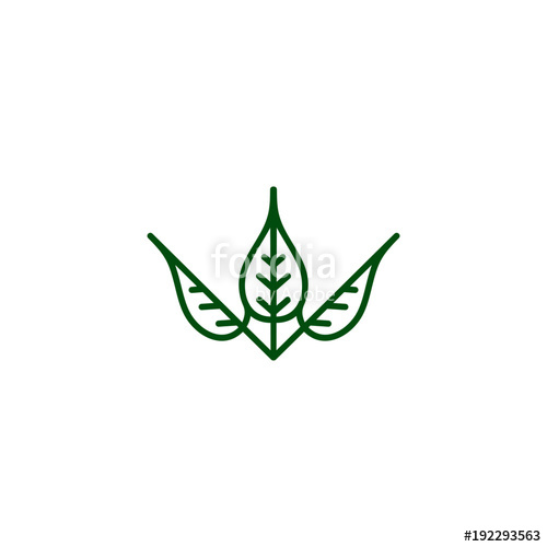 Natural Simple Leaves Logo Leaf Autumn In Natural Vector Leaf 500x500 Natural Simple Leaves Logo Leaf Autumn In Natural Vector Leaf