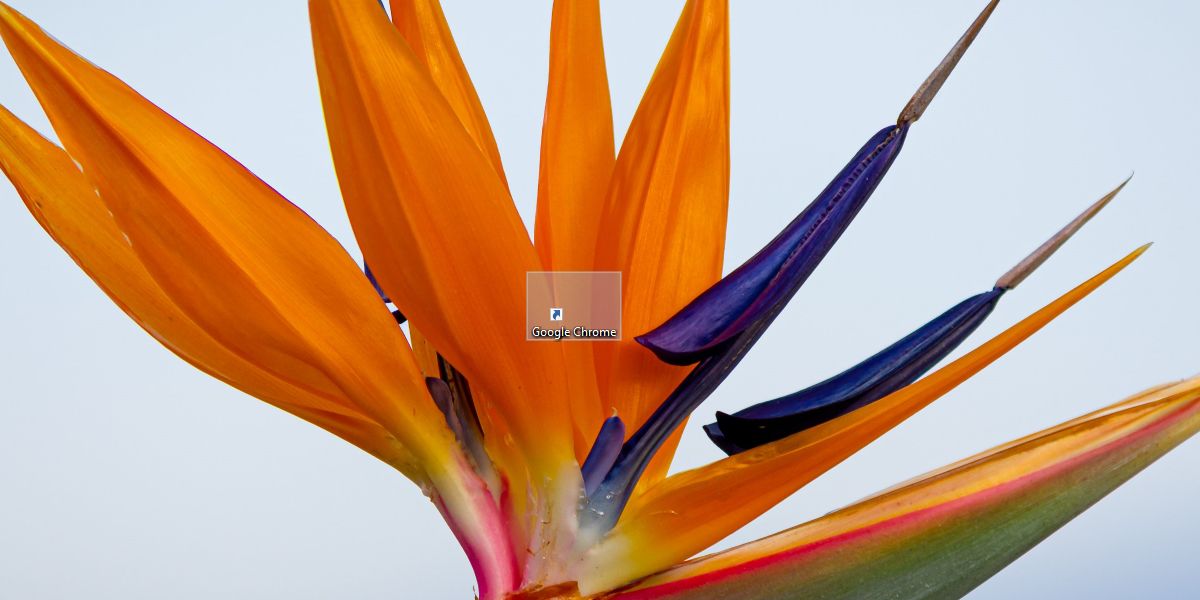 1200x600 How To Create An Empty Icon On Windows