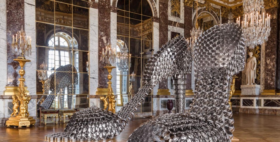 960x487 Be Patient And Nurture Your Health You Can Be A Fitness Icon