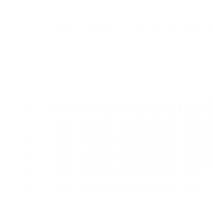 300x300 Van For Hire White Icon