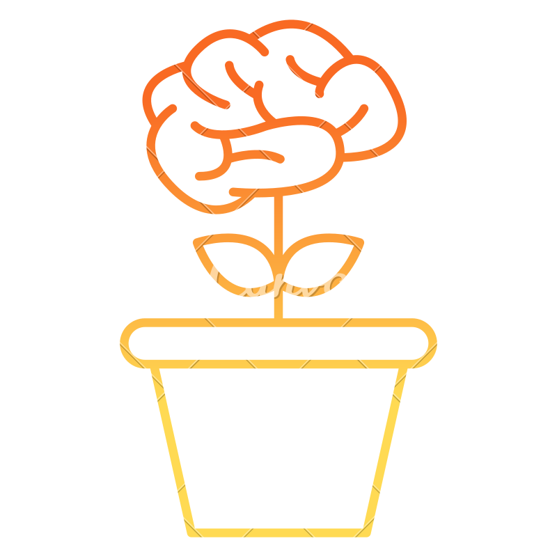 800x800 Knowledge Growth Icon
