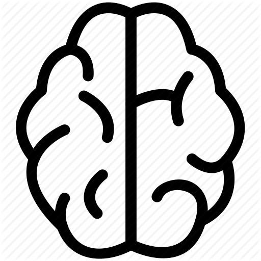 512x512 Brain, Education, Knowledge, Learn, Learning, Mind, Thinking Icon