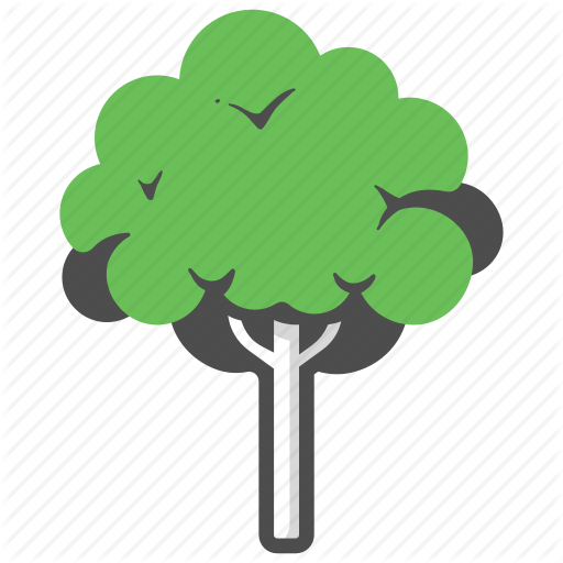 512x512 Forest, Garden, Mahogany, Mahogany Tree, Nature, Park, Tree Icon