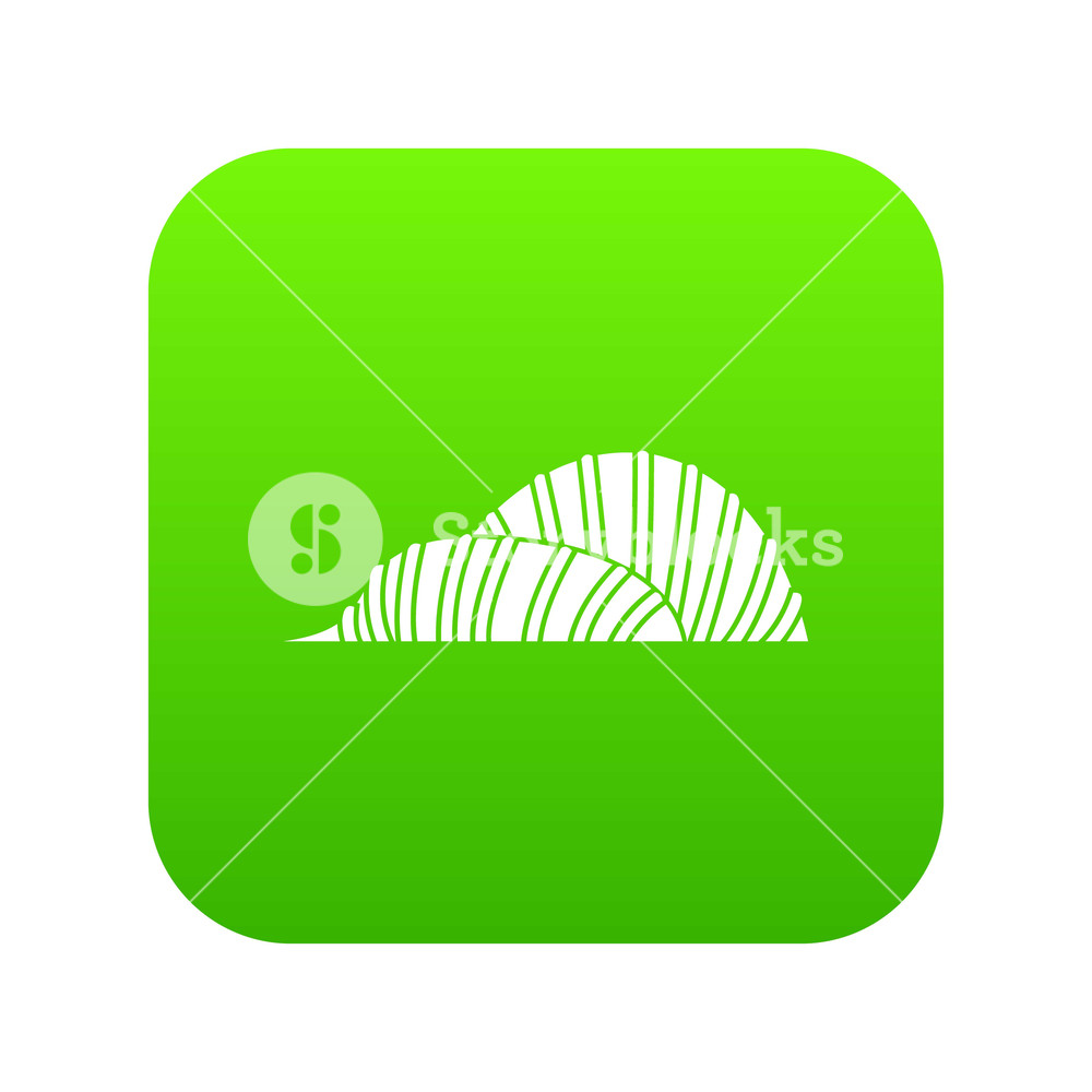 1000x1000 Cloud Forest And Flower Dome