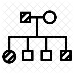 256x256 Genetics Pedigree Icon Of Line Style