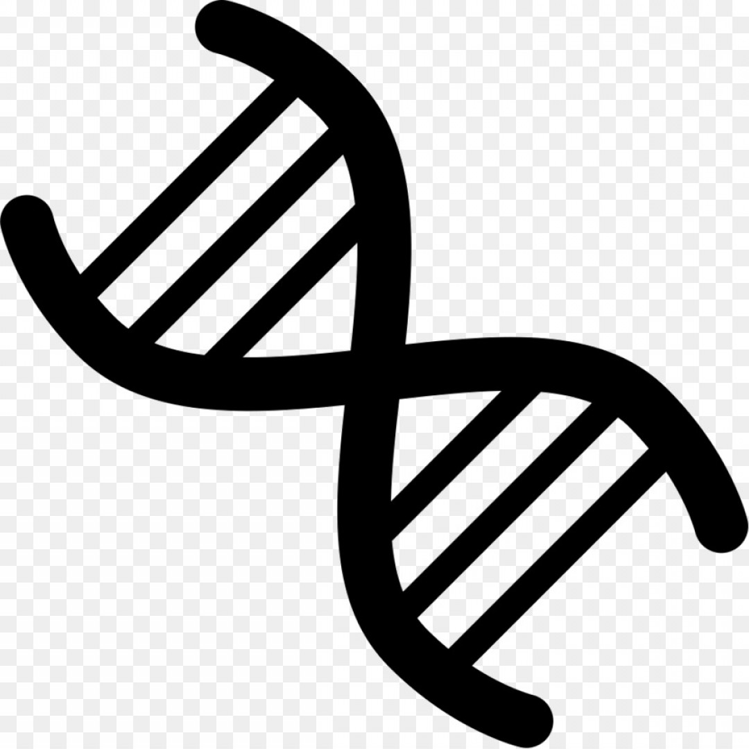 1080x1080 Png Genetics Dna Computer Icons Vector Genetic Icon Hoodamathrun