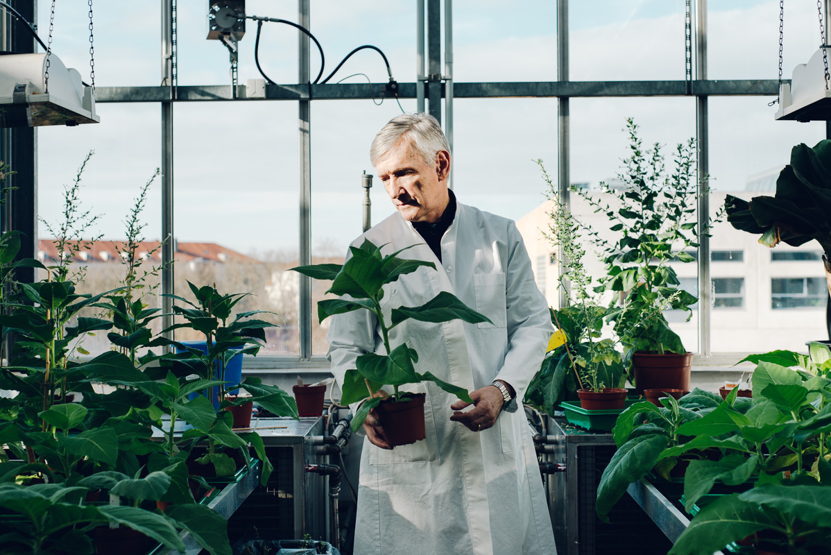 1198x800 Yuri Gleba Icon Genetics Photos Portfolio Of Photographer Kai