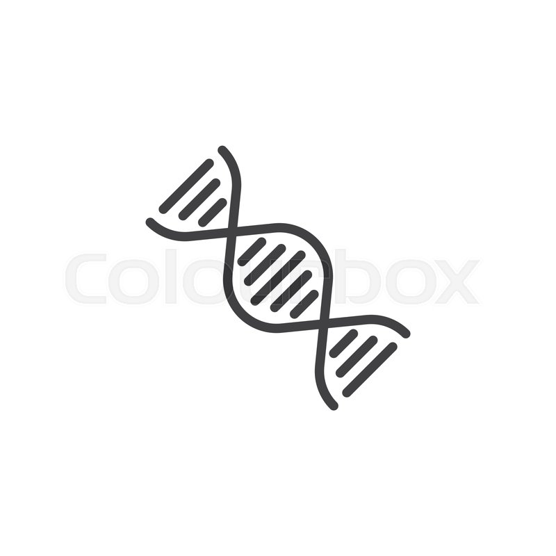 800x800 Dna Structure Line Icon Linear Style Stock Vector Colourbox