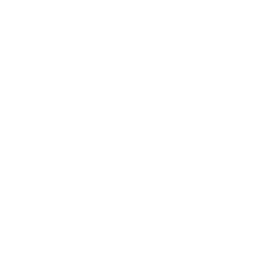 256x256 White Github Icon