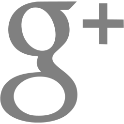 256x256 Gray Google Plus Icon