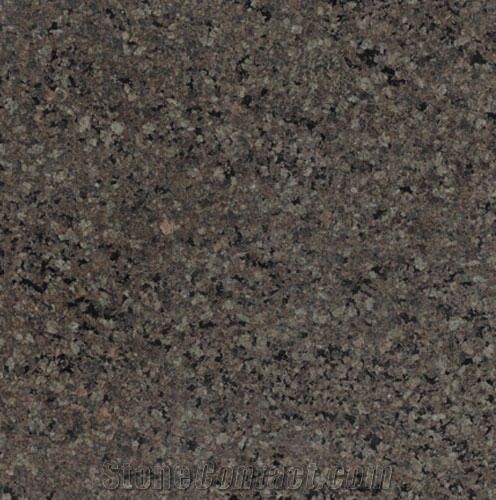 496x500 New Icon Brown