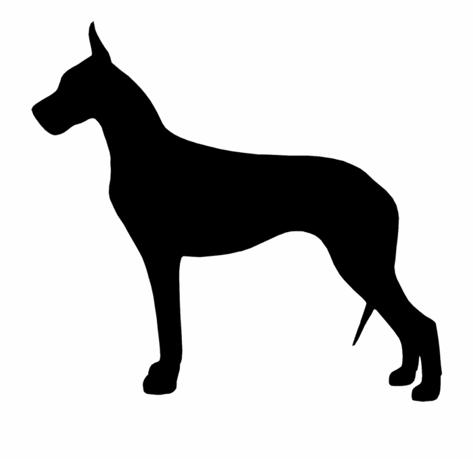 920x893 Great Dane Png Images