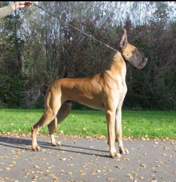 600x622 Icon Hudson Aint To Prwd T'beg