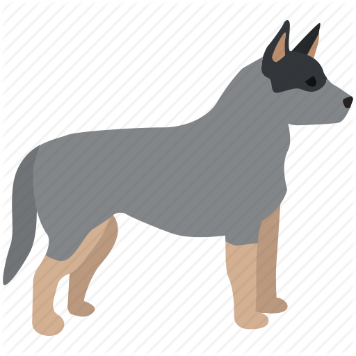 512x512 Dog,mammal,vertebrate,canidae,dog Breed,carnivore,working Dog