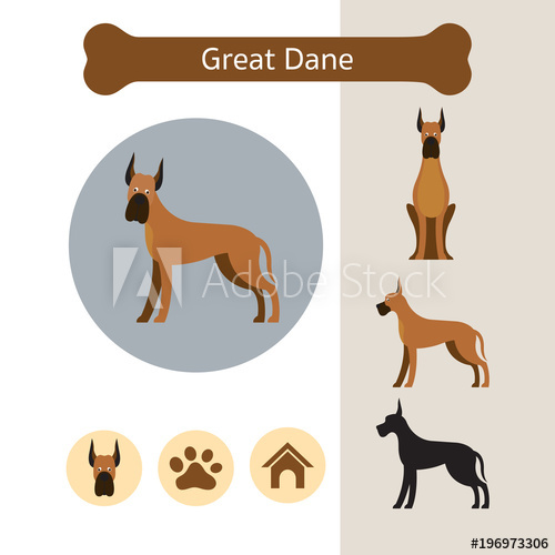 500x500 Great Dane Dog Breed Infographic, Front And Side View, Icon