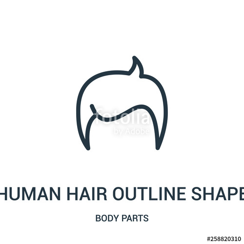 500x500 Human Hair Outline Shape Icon Vector From Body Parts Collection