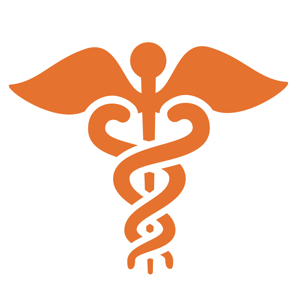 1000x1000 Icon Healthcare