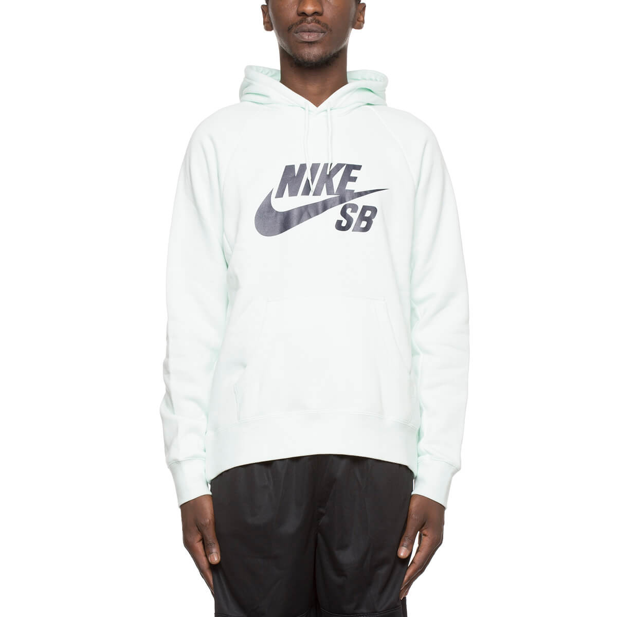 1200x1200 Icon Hoodie From The Fall Nike Sb Collection In Mint