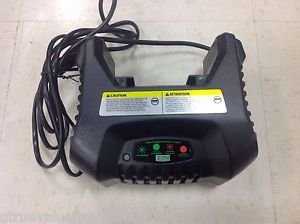 300x224 New Ion Volt Battery Charger Replacement Spare For Ion Ice