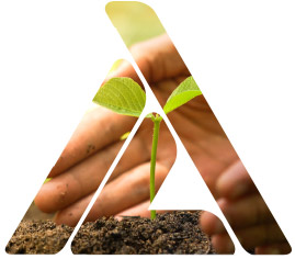 269x236 Icon Agriculture