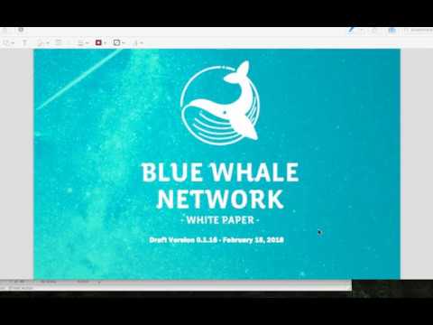 480x360 Blue Whale Network