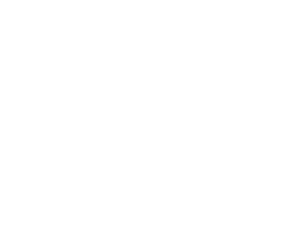 576x480 Medical Imaging