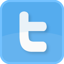 256x256 Original Twitter Logo