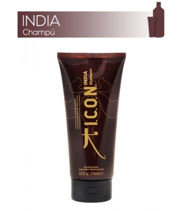 367x420 I C O N India