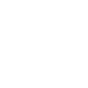 300x300 Industrial Icon