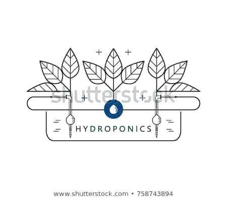 450x395 Hydroponic Drip System Design Hydroponics Icon Irrigation Element