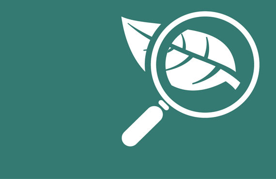 570x369 Laboratory Services